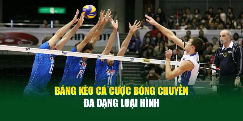 bang-keo-ca-cuoc-bong-chuyen-da-dang-loai-hinh
