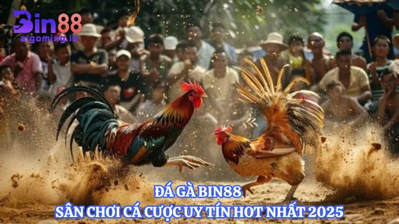 da-ga-bin88-san-choi-ca-cuoc-uy-tin-hot-nhat-2025