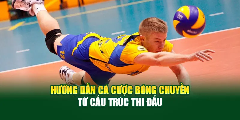 huong-dan-ca-cuoc-bong-chuyen-tu-cau-truc-thi-dau